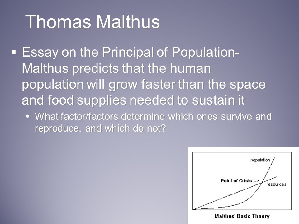 malthus essay on population quotes malthus essay on population quotes
